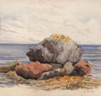 ROCKY FORESHORE by Irish School at Ross's Online Art Auctions