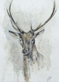 DEER by Lawrence Chambers at Ross's Online Art Auctions