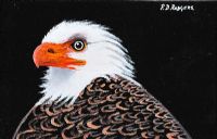 TORY ISLAND EAGLE by Patsy Dan  Rodgers at Ross's Online Art Auctions