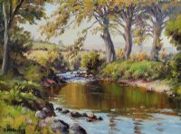 THE POOL ON THE RIVER DUN by Charles McAuley at Ross's Online Art Auctions