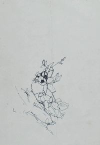 WILD FLOWERS by Tom Carr HRHA HRUA at Ross's Online Art Auctions