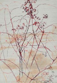 WILD FLOWERS by Tom Carr HRHA HRUA at Ross's Online Art Auctions