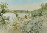 CROM CASTLE ACROSS THE LAKE by Terence P. Flanagan RHA RUA at Ross's Online Art Auctions