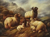SHEEP RESTING by 19th Century English School at Ross's Online Art Auctions