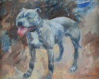 BLUE (DOG STUDY) by Basil Blackshaw HRHA HRUA at Ross's Online Art Auctions