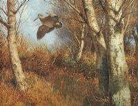 WOODCOCK by William Hollywood at Ross's Online Art Auctions