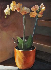 ORCHIDS IN A VASE by Sean Lorinyenko at Ross's Online Art Auctions