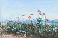 BANK OF WILD FLOWERS by Andrew Nicholl RHA at Ross's Online Art Auctions