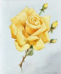 YELLOW ROSE by Maurice Canning Wilks ARHA RUA at Ross's Online Art Auctions