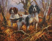TWO SPRINGERS by Donal McNaughton at Ross's Online Art Auctions