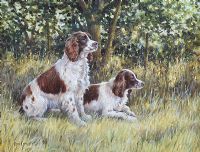 TWO SPRINGERS by Donna Crawshaw at Ross's Online Art Auctions