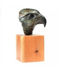 PEREGRINE HEAD by Jeremy Hamilton at Ross's Online Art Auctions