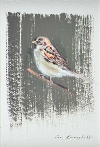 HOUSE SPARROW by Con Campbell at Ross's Online Art Auctions