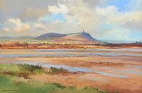 SCRABO TOWER ACROSS STRANGFORD LOUGH by David Long UWS at Ross's Online Art Auctions