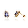 9CT GOLD SAPPHIRE & DIAMOND EARRINGS at Ross's Online Art Auctions