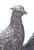 BRONZE GROUP GROUSE at Ross's Online Art Auctions