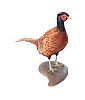 TAXIDERMY PHEASANT at Ross's Online Art Auctions