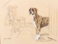 BOXER by Gill Evans at Ross's Online Art Auctions