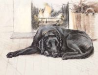 BLACK LABRADOR by Thompson at Ross's Online Art Auctions