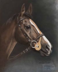 KAUTO STAR by Josephine Guilfoyle at Ross's Online Art Auctions