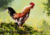 COCKEREL by Gregory Moore at Ross's Online Art Auctions