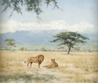 LIONS, KENYA by Lydia de Burgh RUA UWS at Ross's Online Art Auctions
