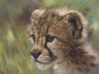 CUB IV by Joel Kirk at Ross's Online Art Auctions