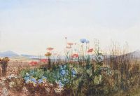 WILD FLOWERS WITH DISTANT MOUNTAINS by Andrew Nicholl RHA at Ross's Online Art Auctions