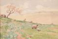 STEWART ORR SHEEP GRAZING at Ross's Online Art Auctions