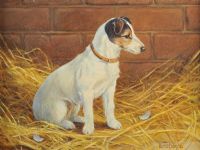 JACK RUSSELL by Donna Crawshaw at Ross's Online Art Auctions