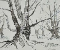 Pen & ink Drawing by Maurice Canning Wilks ARHA RUA at Ross's Online Art Auctions