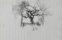 STUDY OF A TREE by Tom Carr HRHA HRUA at Ross's Online Art Auctions