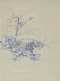 STUDY OF HEDGE LEAVES by Tom Carr HRHA HRUA at Ross's Online Art Auctions
