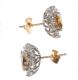 9CT WHITE GOLD CITRINE AND ZIRCON EARRINGS at Ross's Online Art Auctions