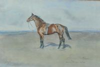 HORSE STUDY by Rosemary O'Callaghan Westropp at Ross's Online Art Auctions