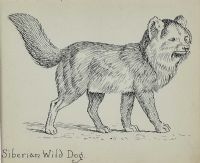 SIBERIAN WILD DOG by Frederick Pegram at Ross's Online Art Auctions