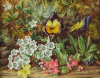FLOWERS by Thomas Collins at Ross's Online Art Auctions