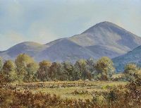 THE MOURNES FROM CASTLEWELLAN ROAD by David Overend at Ross's Online Art Auctions