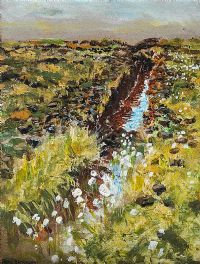 BOG NEAR CARNDONAGH, DONEGAL by Patric Stevenson PPRUA at Ross's Online Art Auctions