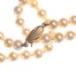 STRING OF CULTURED PEARLS WITH 9CT GOLD CLASP at Ross's Online Art Auctions