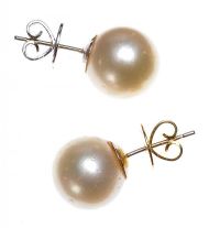 SOUTH SEA PEARL EARRINGS at Ross's Online Art Auctions