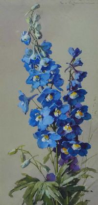 DELPHINIUM by Catherina Klein at Ross's Online Art Auctions