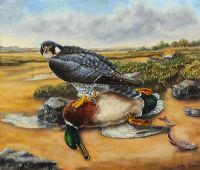 BIRD OF PREY by Terry Dorrian at Ross's Online Art Auctions