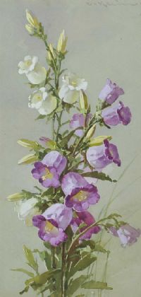 CAMPANULA by Catherina Klein at Ross's Online Art Auctions