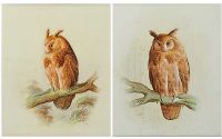 BARN OWLS by Harry Bright at Ross's Online Art Auctions