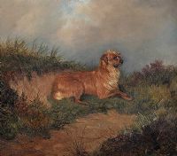 STUDY OF TERRIER by Colin Graeme at Ross's Online Art Auctions