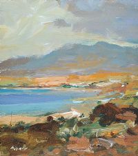 NEAR ACHILL ISLAND by S. Shaw at Ross's Online Art Auctions