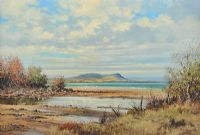 SCRABO FROM STRANGFORD LOUGH by David Long UWS at Ross's Online Art Auctions