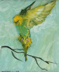 STUDY OF A BUDGIE by Stephen McKeown at Ross's Online Art Auctions