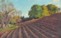 THE PLOUGHED FIELD by Thomas Bond Walker at Ross's Online Art Auctions